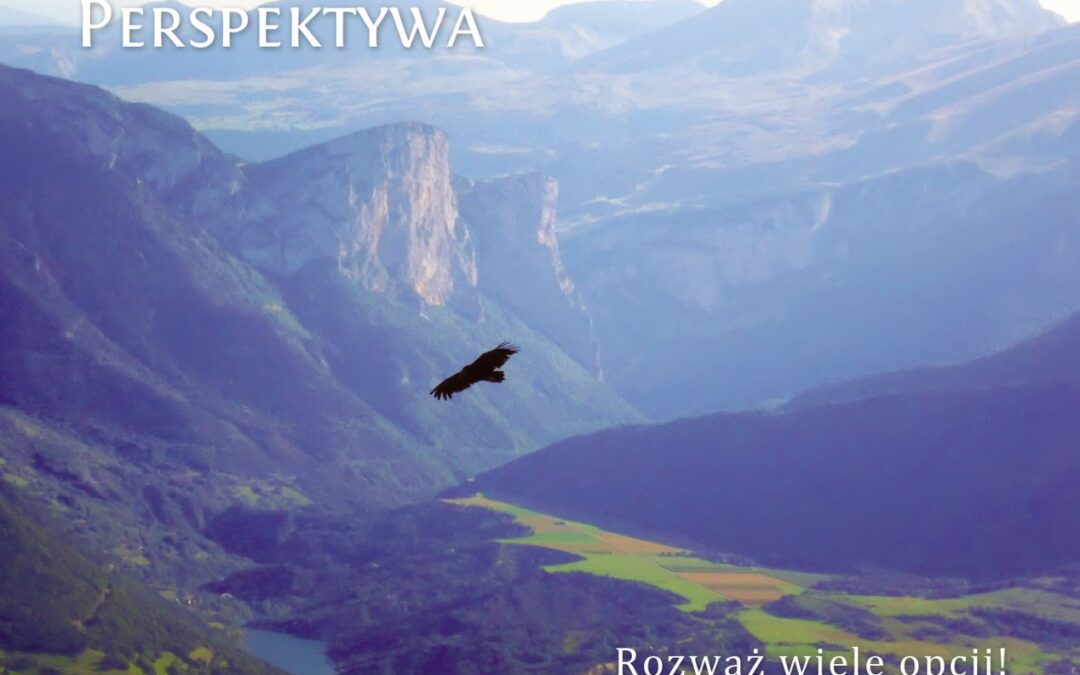 Perspektywa